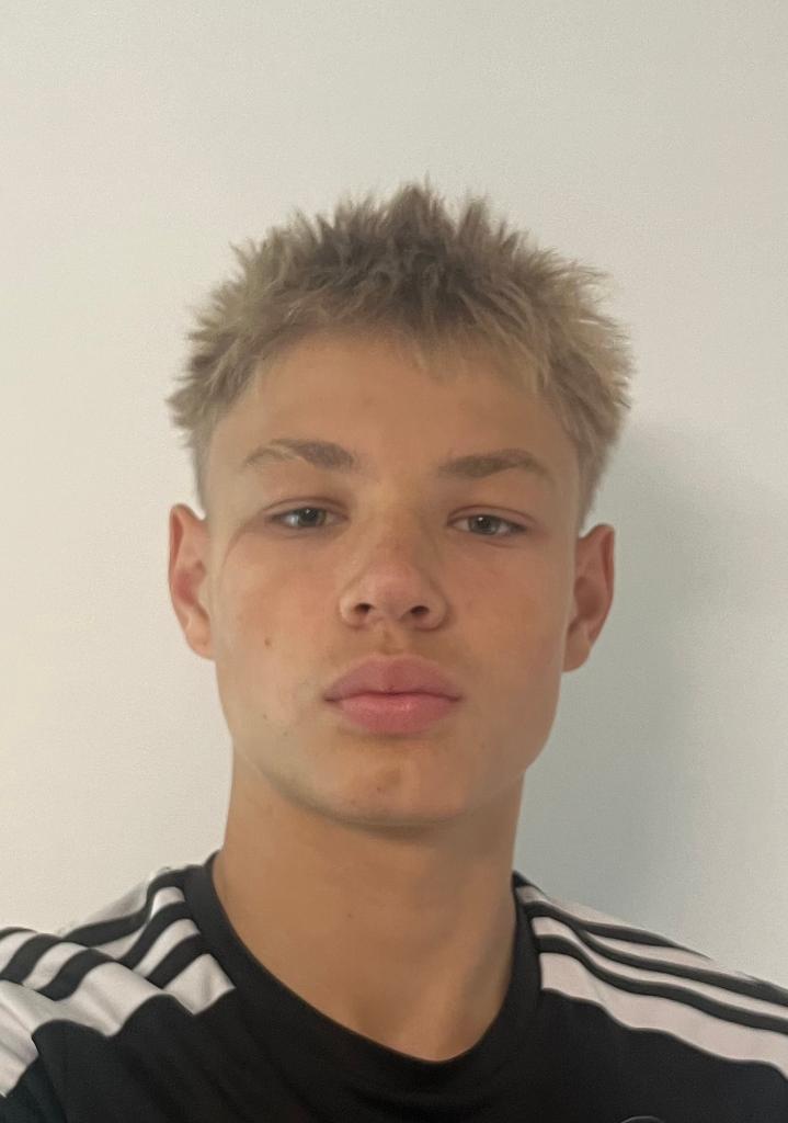 Laurynas Medinis